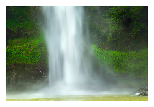 Waterfall surrounded by greenery in a forest setting