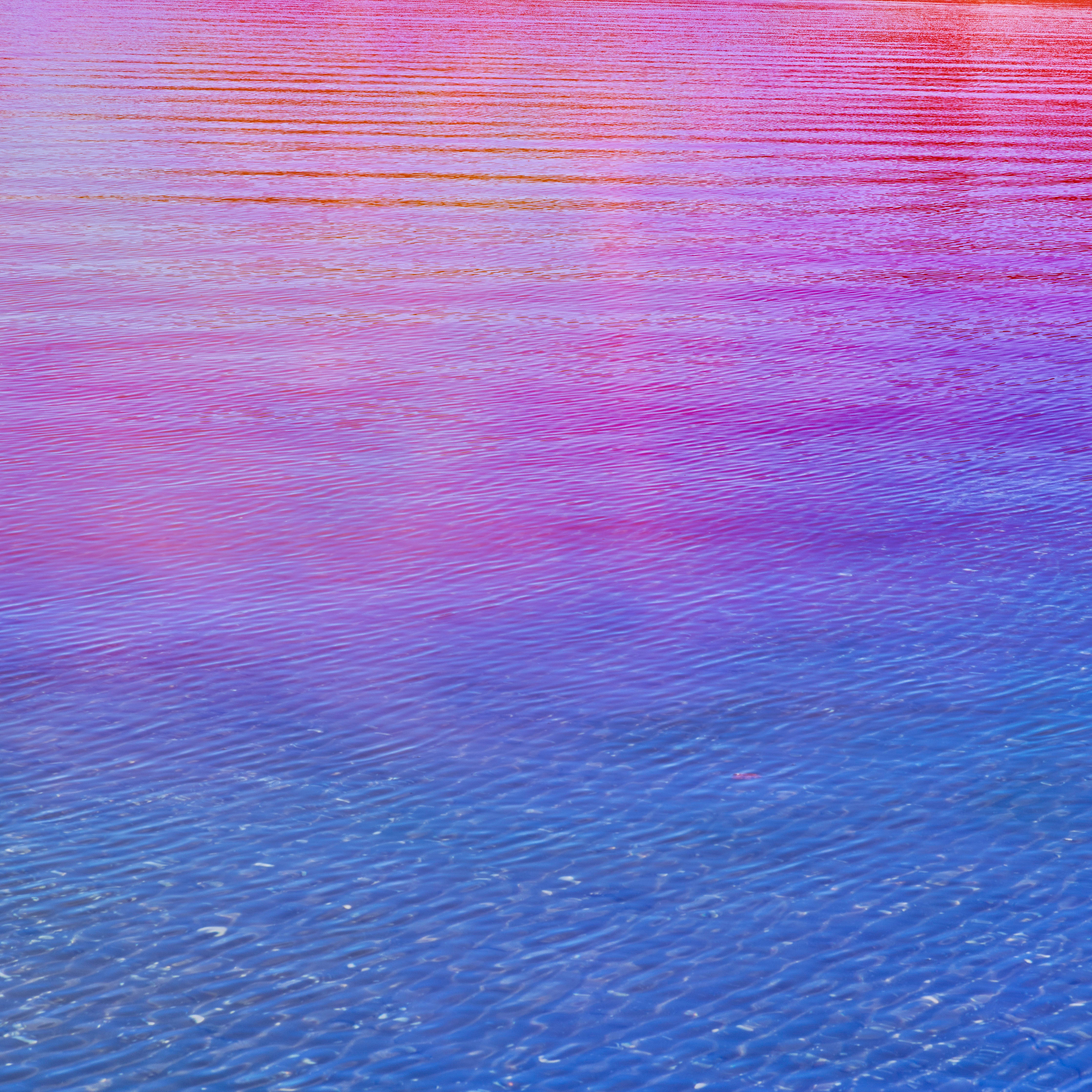 Gradient of purple and pink with wavy texture