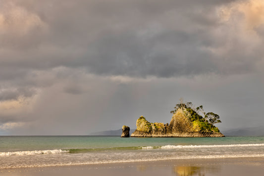 Coastal Sentinel, Whangapoua