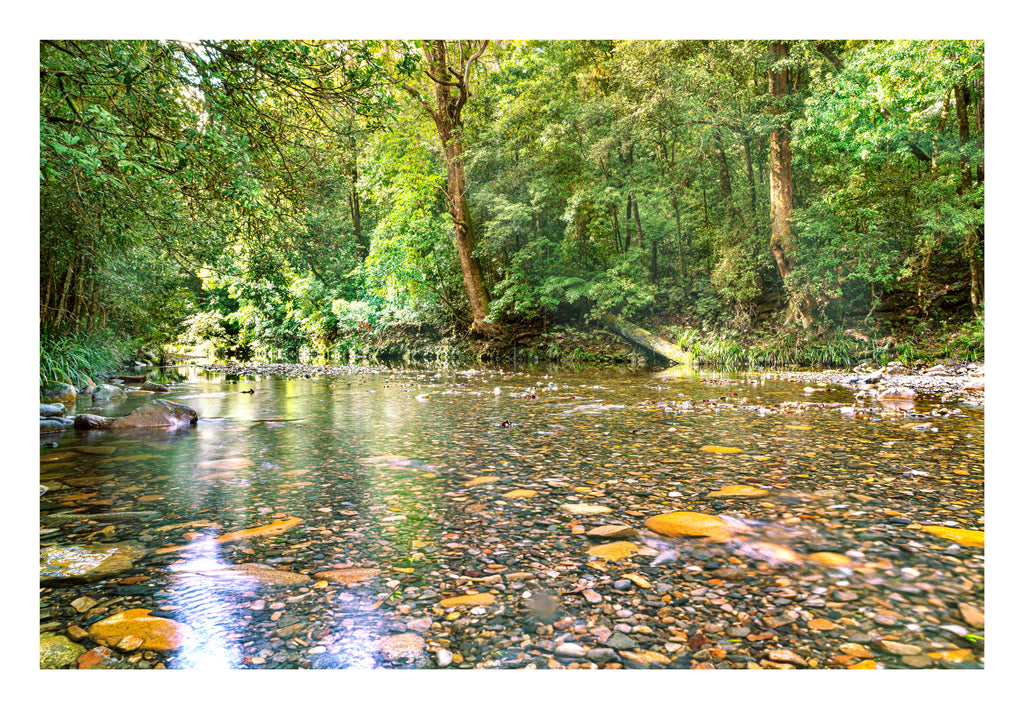 A river flowing through a heavily wooded area over rocks