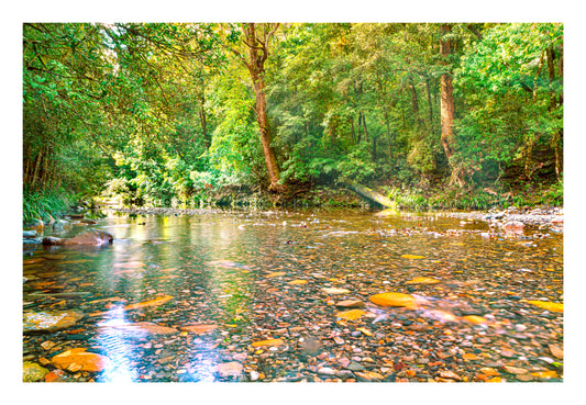 High Country River