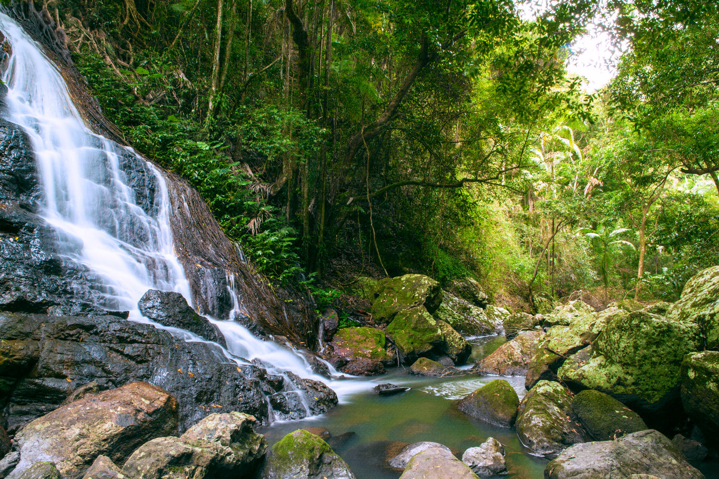 Base of Kondalilla falls