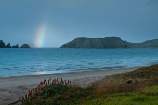 A ranibow in the rain