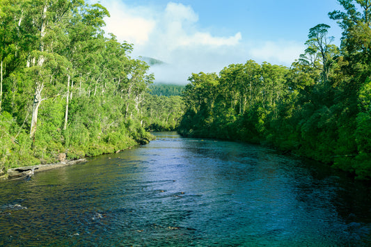 A quiet river in Tasmania