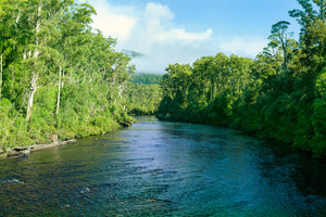 A quiet river in Tasmania